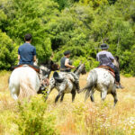 Cabalgata por Coihues: Paseo a Caballo en Medio de la Naturaleza Patagónica