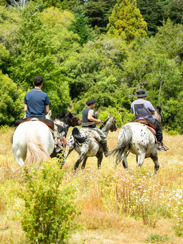 Cabalgata por Coihues: Paseo a Caballo en Medio de la Naturaleza Patagónica - Imagen 1