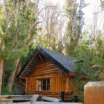 Isla Victoria y Bosque de Arrayanes con Traslado