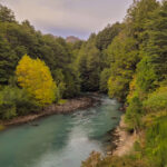 Puerto Blest y Cascada “Los Cantaros” Sin Traslado