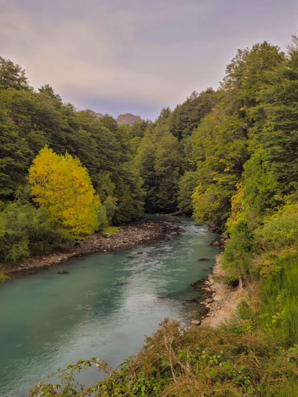 Puerto Blest y Cascada “Los Cantaros” Sin Traslado - Imagen 1