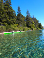Excursión en Kayak por el Lago Gutiérrez desde Bariloche con Traslado Incluido