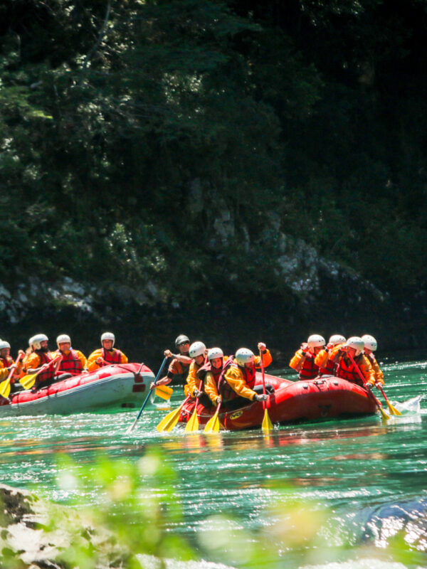 Rafting light en el río Manso con traslado - Imagen 1