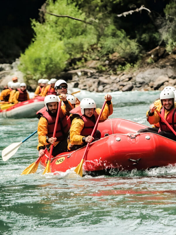Rafting en Río Limay desde Bariloche: Naturaleza, Aventura y Estepa Patagónica - Imagen 1